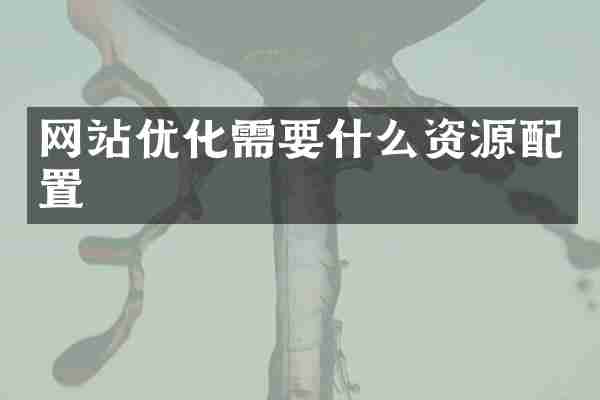 网站优化需要什么资源配置