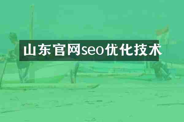 山东官网seo优化技术
