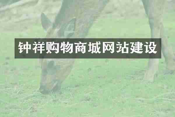 钟祥购物商城网站建设
