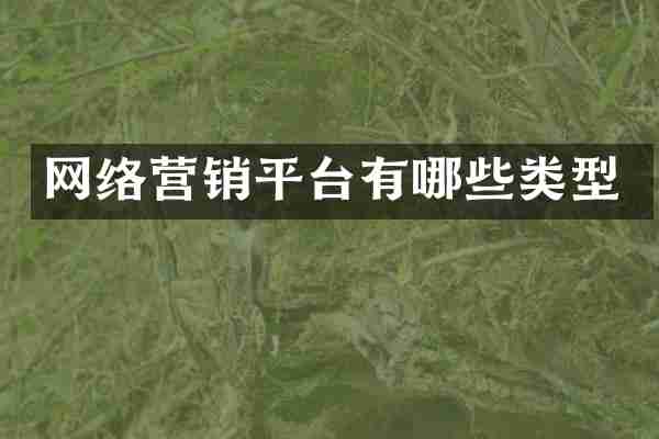 网络营销平台有哪些类型