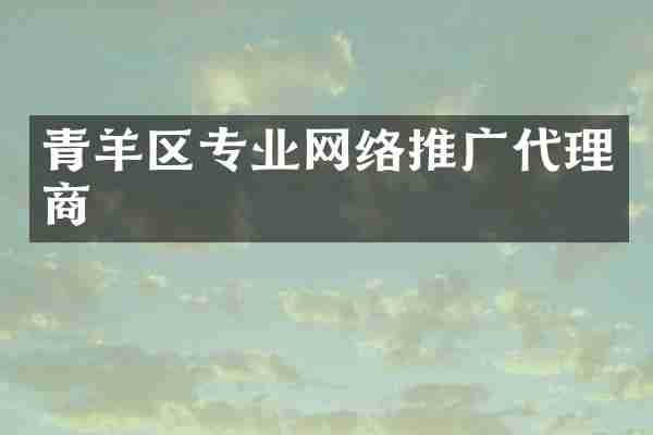 青羊区专业网络推广代理商