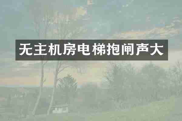 无主机房电梯抱闸声大