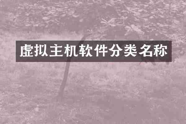虚拟主机软件分类名称