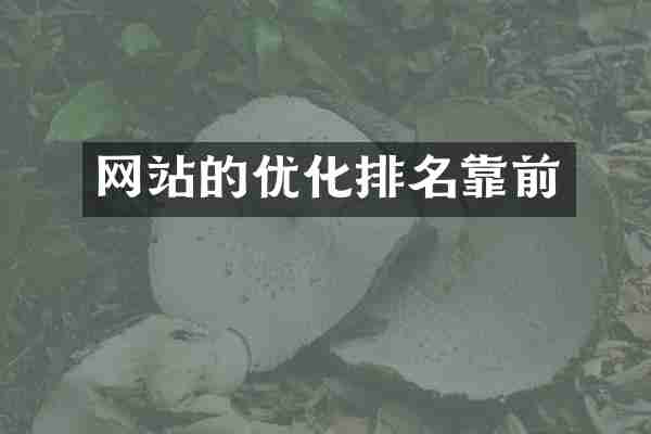 网站的优化排名靠前