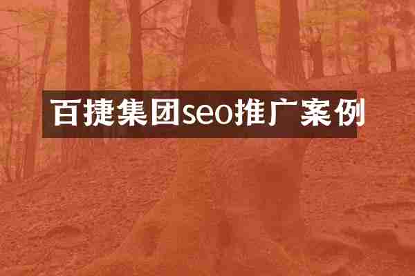 百捷集团seo推广案例