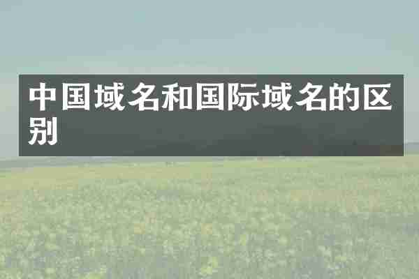 中国域名和国际域名的区别