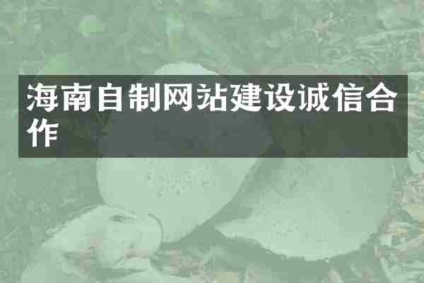 海南自制网站建设诚信合作