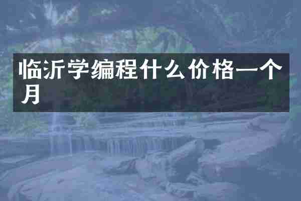 临沂学编程什么价格一个月