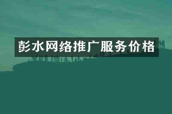 彭水网络推广服务价格