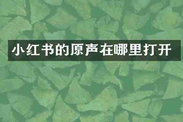 小红书的原声在哪里打开