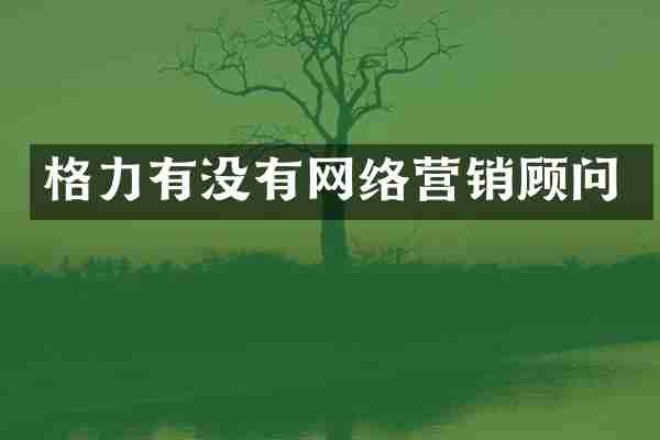 格力有没有网络营销顾问