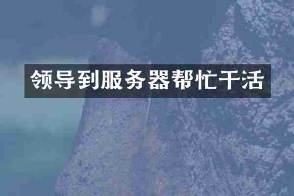 领导到服务器帮忙干活