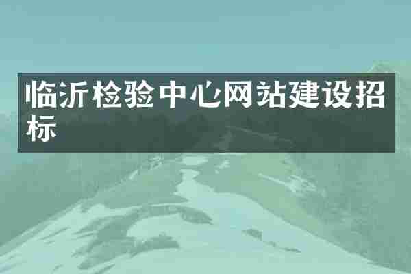 临沂检验中心网站建设招标