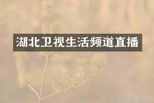 湖北卫视生活频道直播