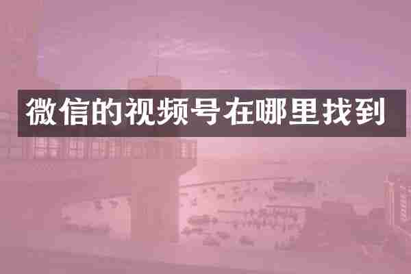 微信的视频号在哪里找到