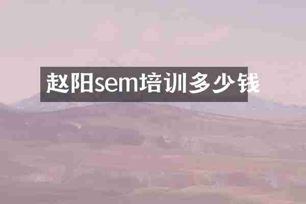 赵阳sem培训多少钱