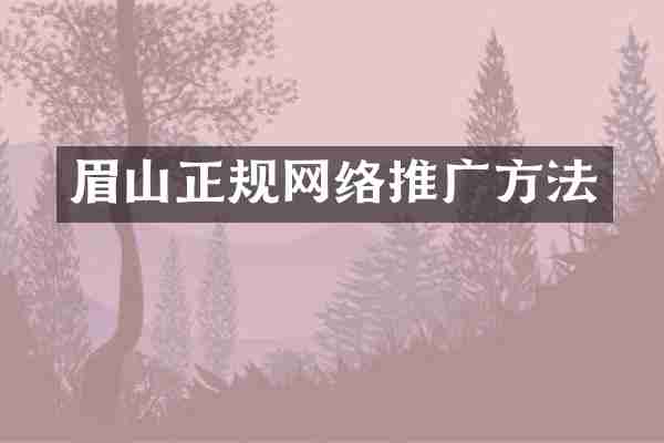 眉山正规网络推广方法
