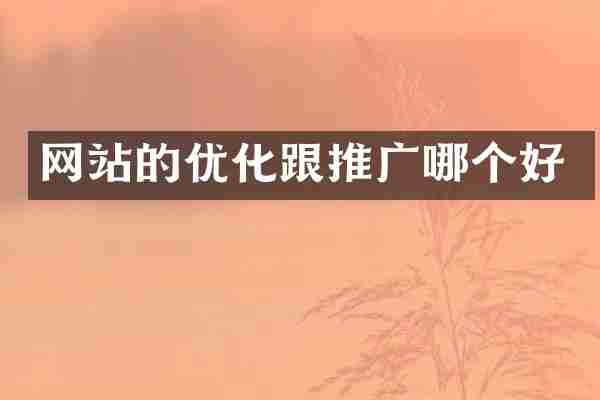 网站的优化跟推广哪个好