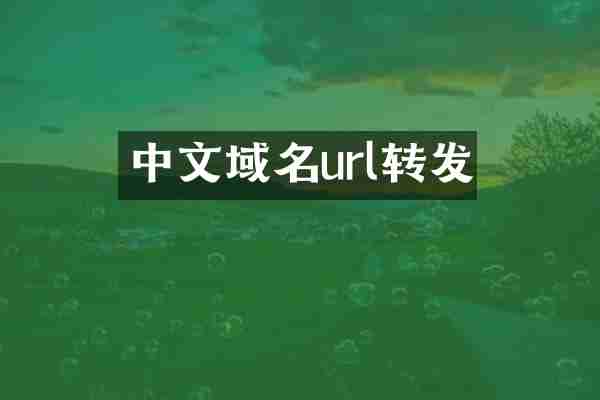 中文域名url转发