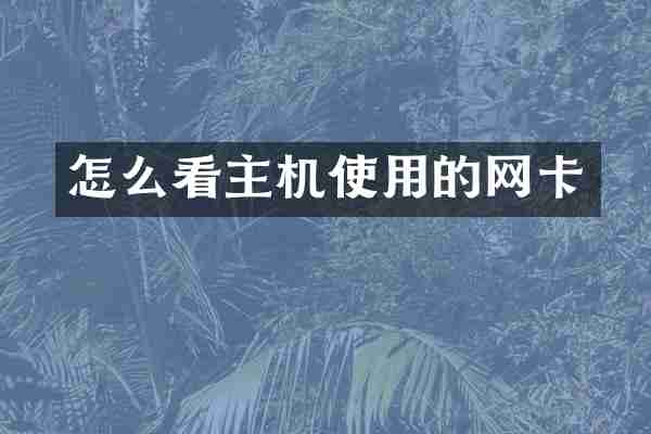 怎么看主机使用的网卡