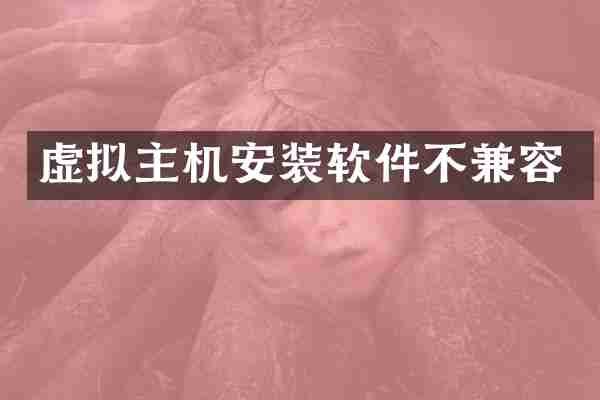 虚拟主机安装软件不兼容