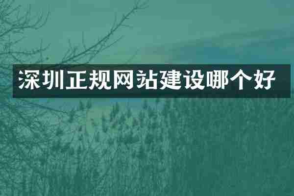 深圳正规网站建设哪个好