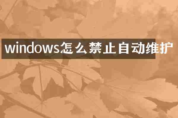 windows怎么禁止自动维护