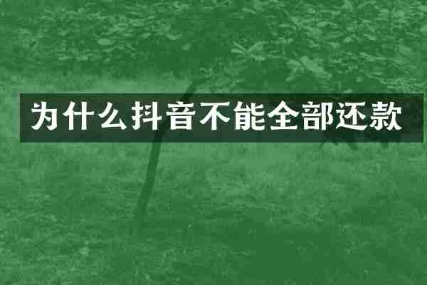 为什么抖音不能全部还款
