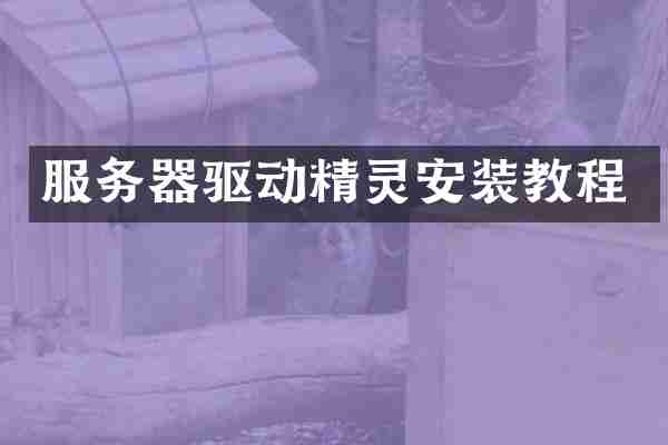 服务器驱动精灵安装教程