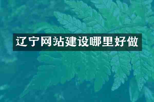 辽宁网站建设哪里好做