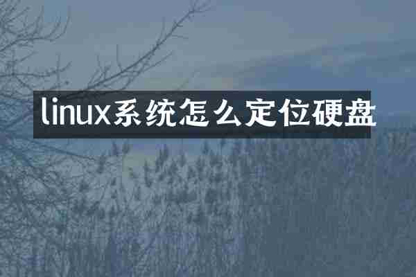 linux系统怎么定位硬盘