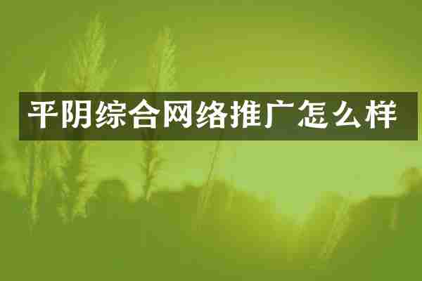 平阴综合网络推广怎么样