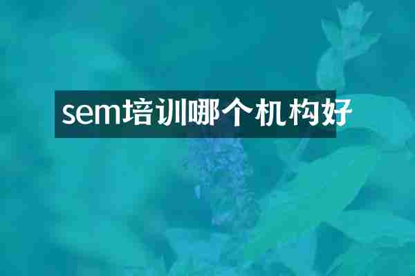 sem培训哪个机构好