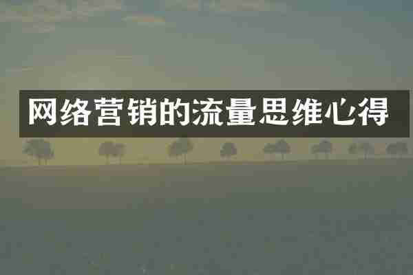 网络营销的流量思维心得