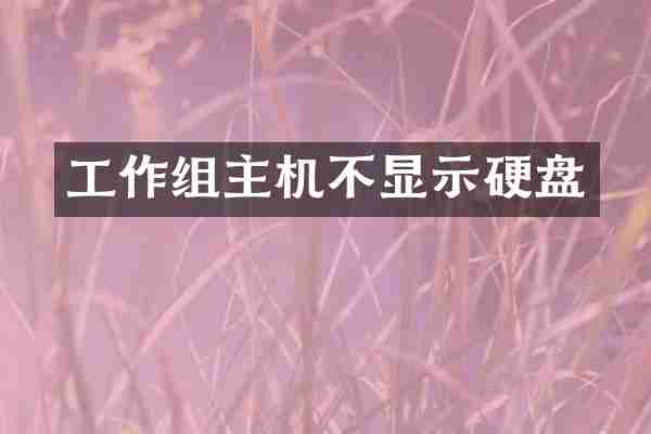 工作组主机不显示硬盘