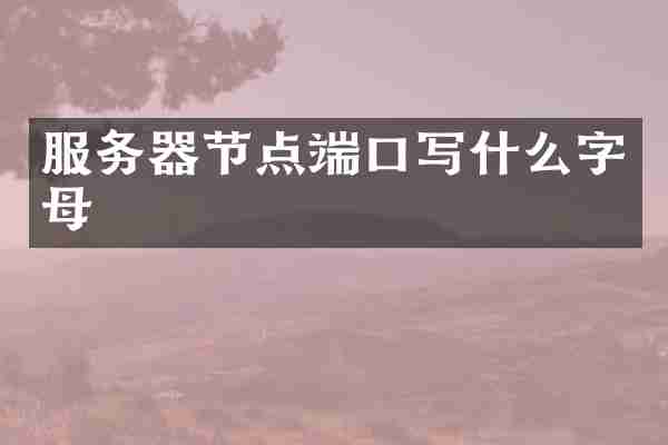 服务器节点端口写什么字母