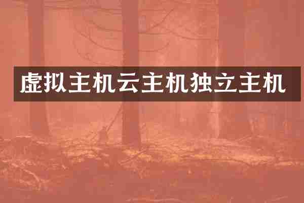 虚拟主机云主机独立主机