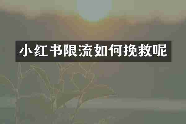 小红书限流如何挽救呢