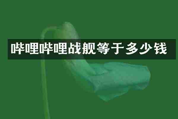 哔哩哔哩战舰等于多少钱