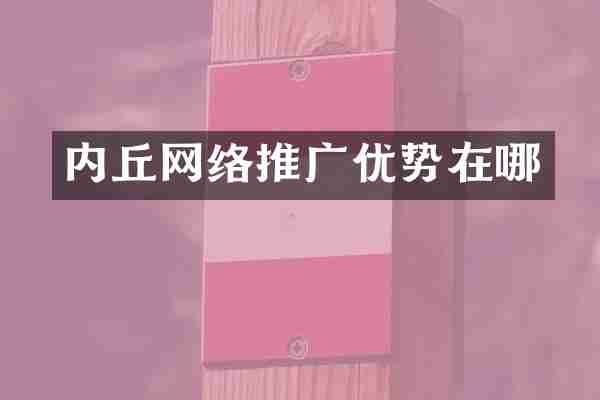 内丘网络推广优势在哪