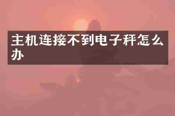 主机连接不到电子秤怎么办