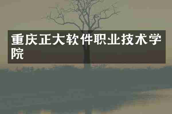重庆正大软件职业技术学院