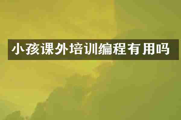 小孩课外培训编程有用吗