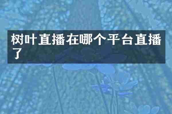 树叶直播在哪个平台直播了