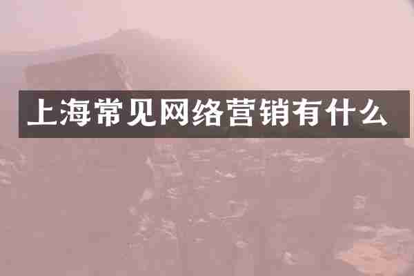 上海常见网络营销有什么