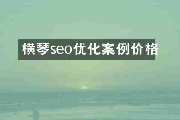 横琴seo优化案例价格