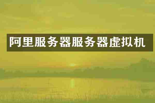 阿里服务器服务器虚拟机