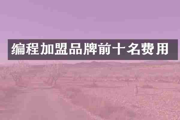 编程加盟品牌前十名费用