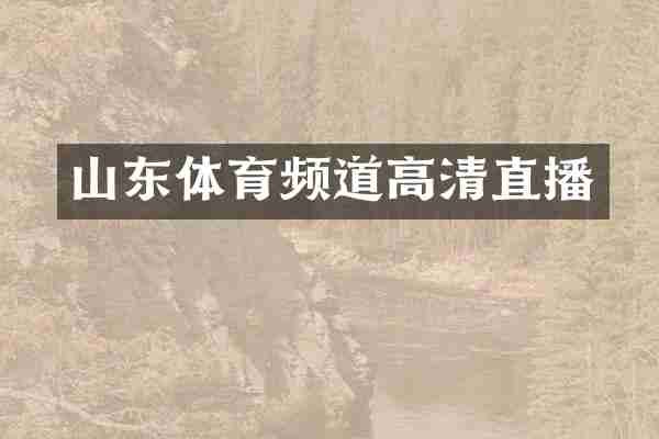 山东体育频道高清直播