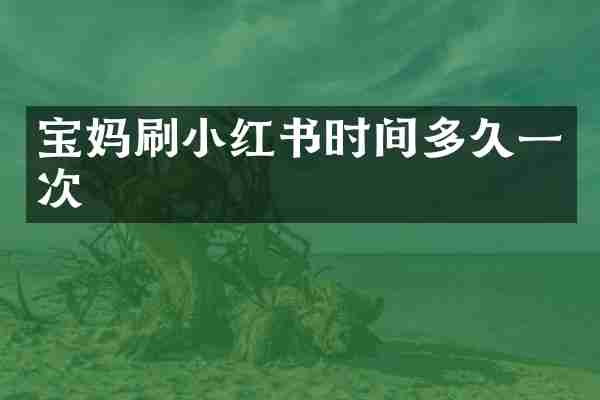 宝妈刷小红书时间多久一次